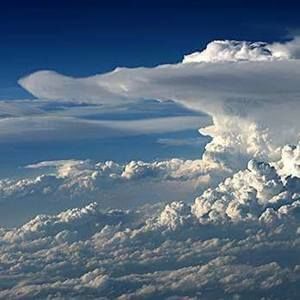 Meet your Posher, Todd